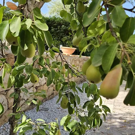 Casa vacanze La Casetta Del Golfo - Mazzaforno